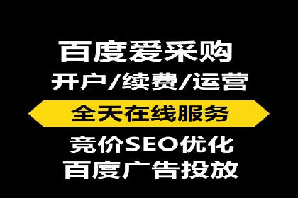 百度竞价推广案例：行业领军者成长故事